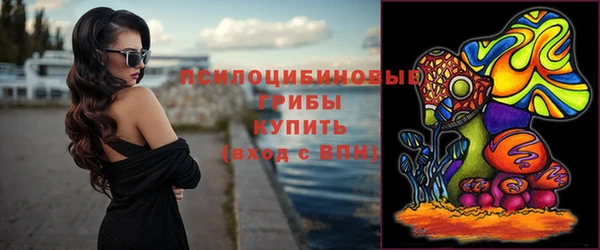 гашик Волосово