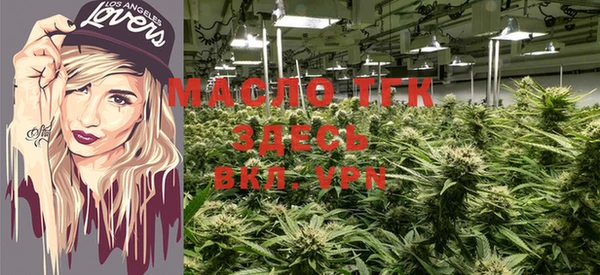 гашик Волосово